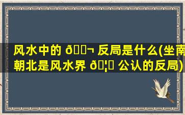 风水中的 🐬 反局是什么(坐南朝北是风水界 🦉 公认的反局)